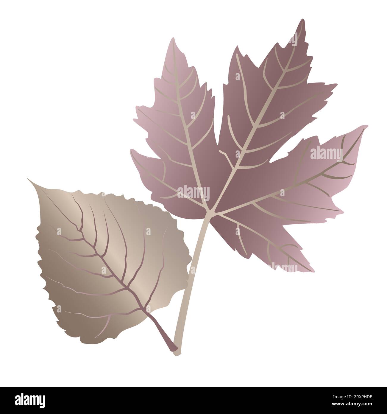 Herbst detaillierte Ahorn- und Walnussblätter mit Aderblattblumen in ungewöhnlichen Metallic-Farben auf weißem Hintergrund. Stock Vektor