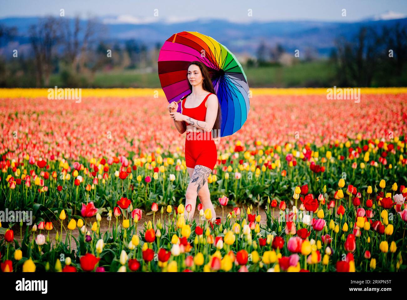 Langhaarige Brünette, die über ein riesiges Tulpenfeld mit Schirm in der Hand läuft Stockfoto