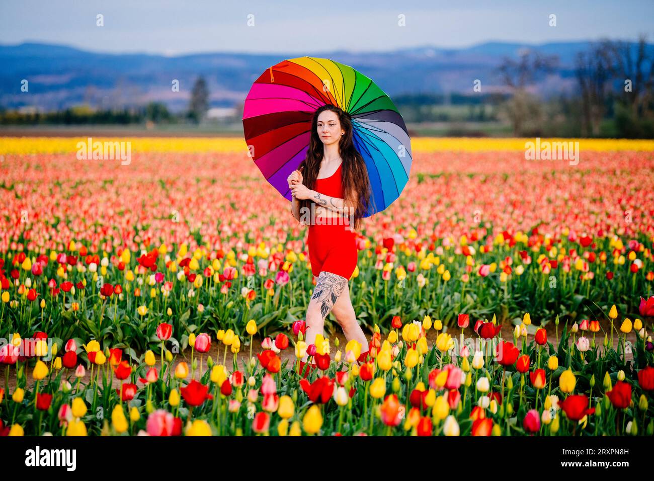 Langhaarige Brünette, die über ein riesiges Tulpenfeld mit Schirm in der Hand läuft Stockfoto