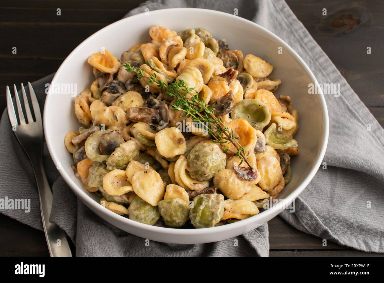Orecchiette mit Pilz-Thymian-Sauce in einer Pasta-Schüssel: Nudeln und Pilze in Sahnesauce, serviert in einer großen flachen Schüssel Stockfoto