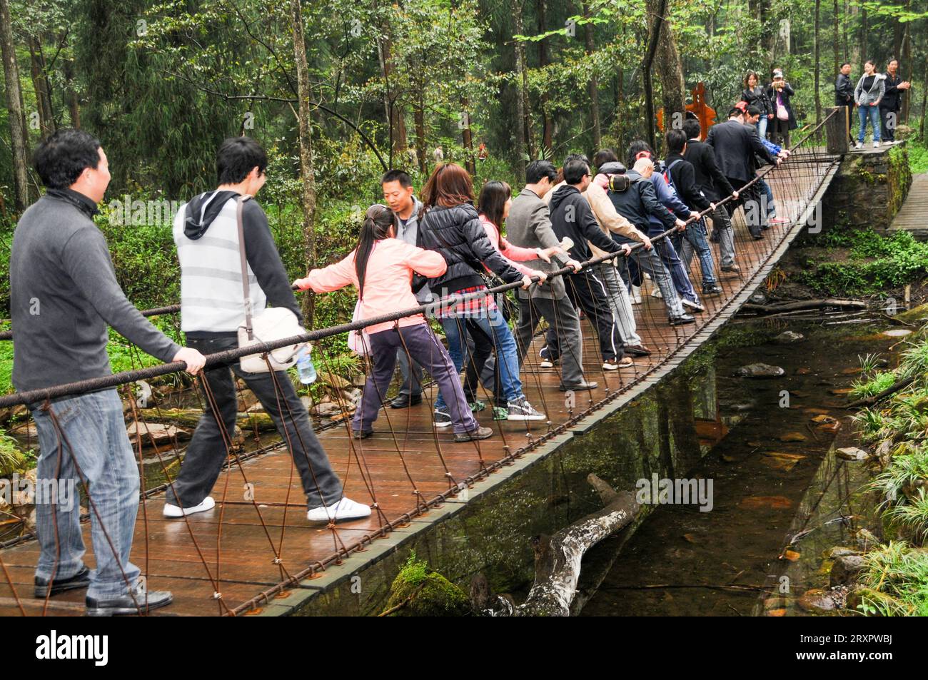Touristen auf Swing Bridge, Golden Whip Stream, Wulingyan National Park, Zhagliajie, China Stockfoto