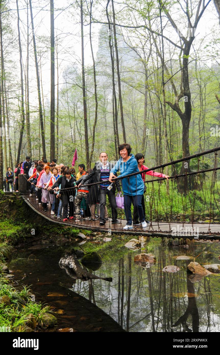 Touristen auf Swing Bridge, Golden Whip Stream, Wulingyan National Park, Zhagliajie, China Stockfoto