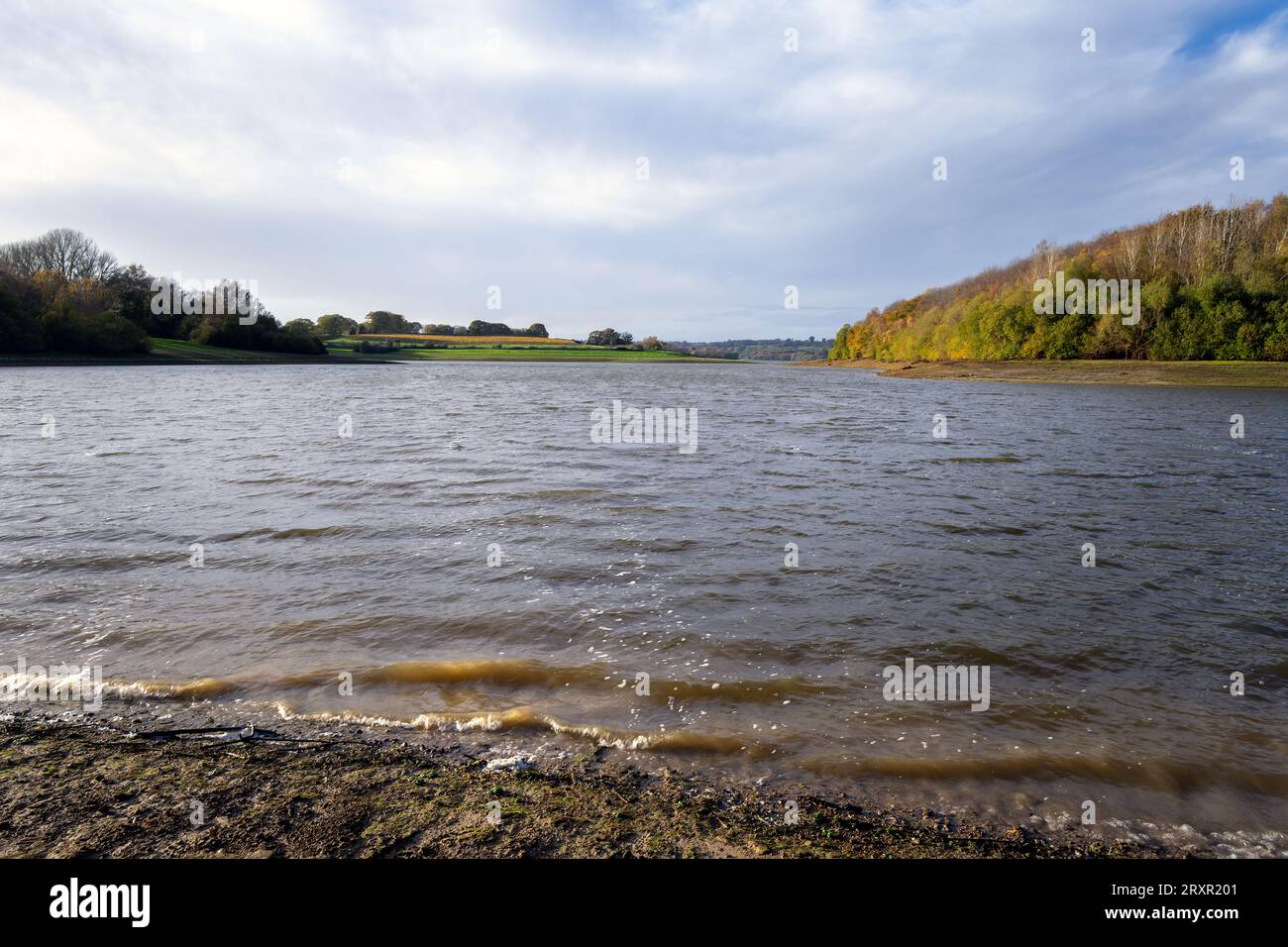 Blick auf den Bewl Wasserreservoir im Herbst, Kent, England Stockfoto