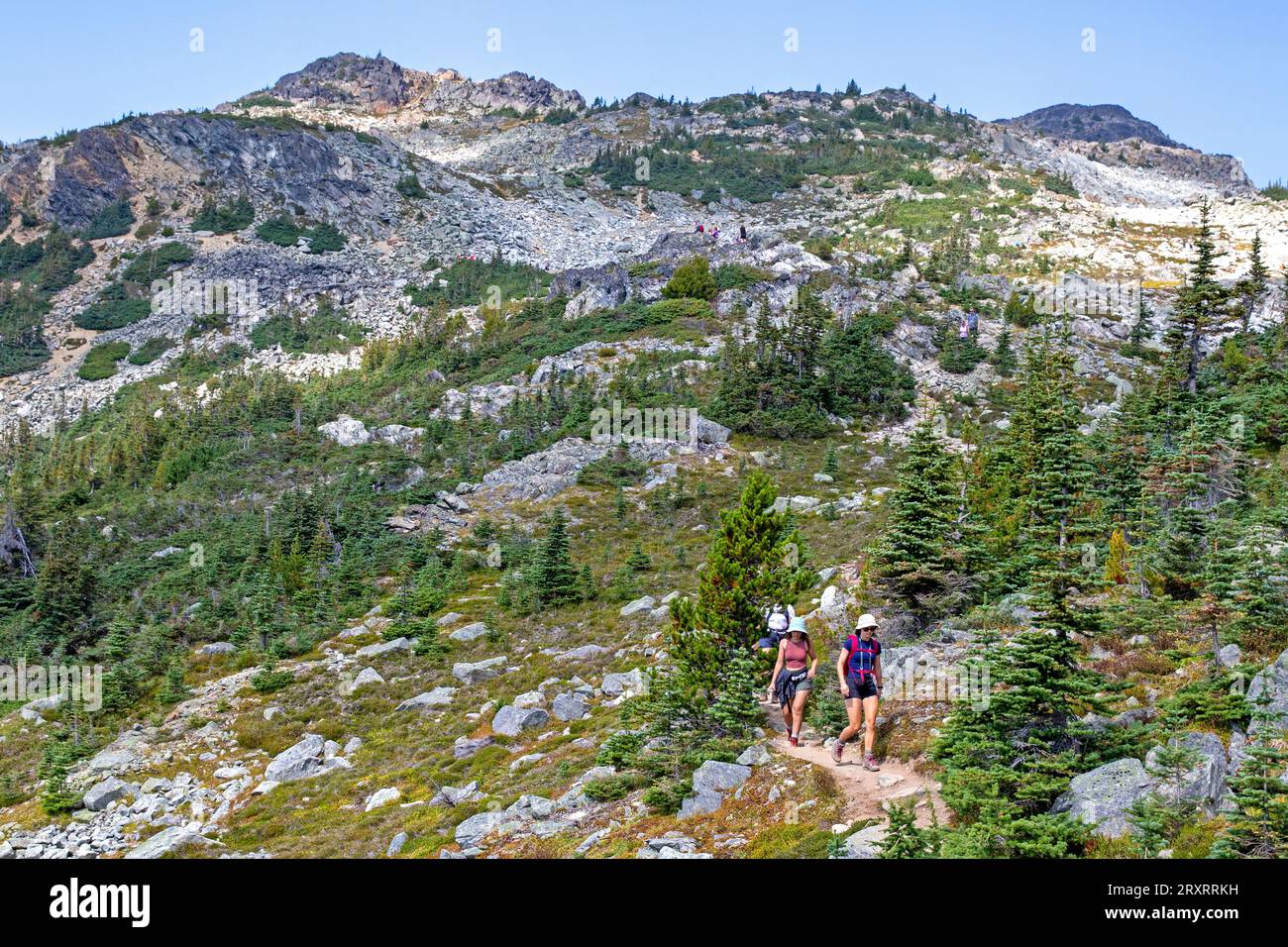 Wanderer auf dem High Note Trail am Whistler Mountain Stockfoto