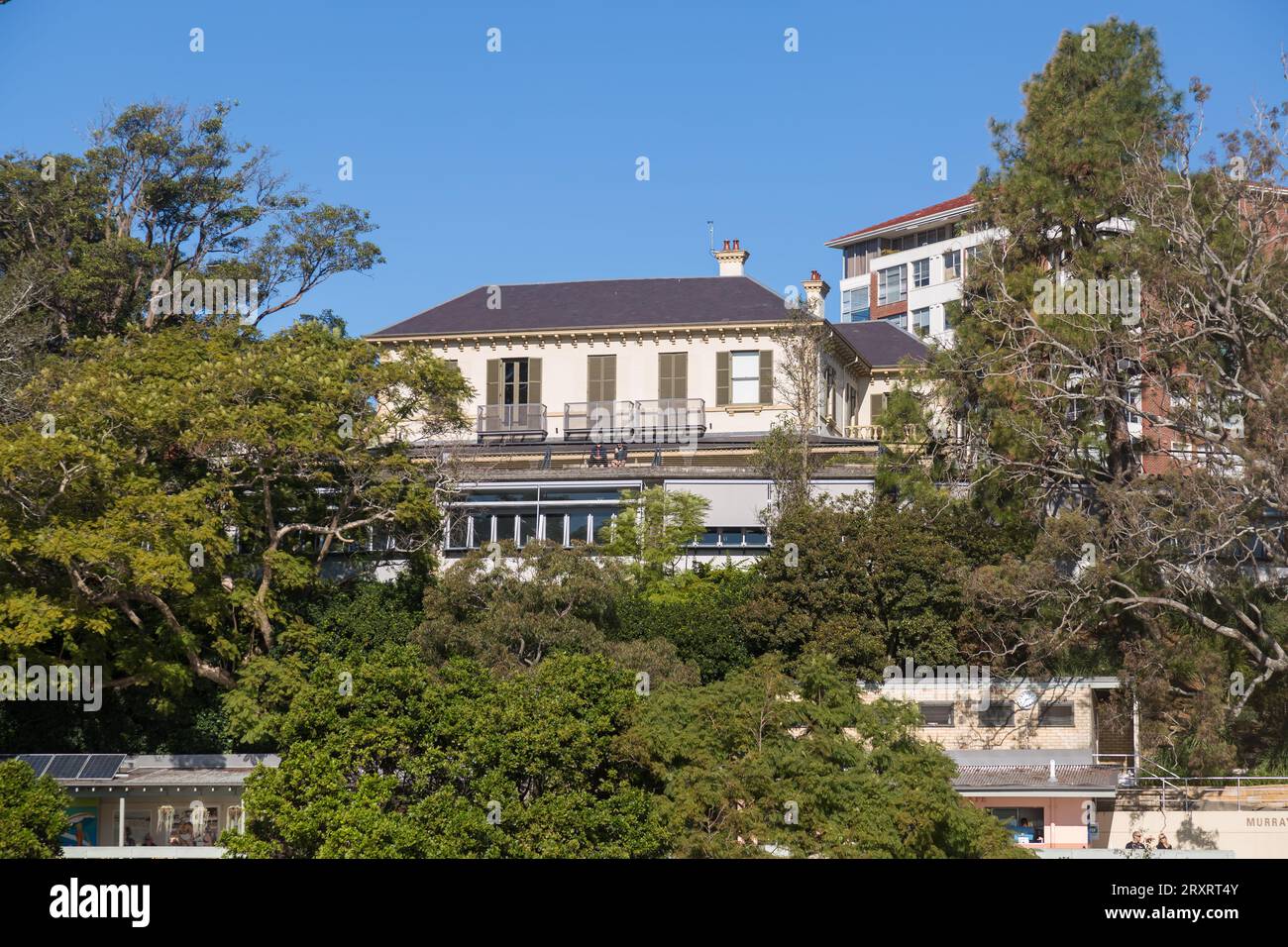 Apartments und Häuser mit Blick auf den Redleaf Pool, auch bekannt als Murray Rose Pool, Double Bay, Sydney, Australien. Stockfoto