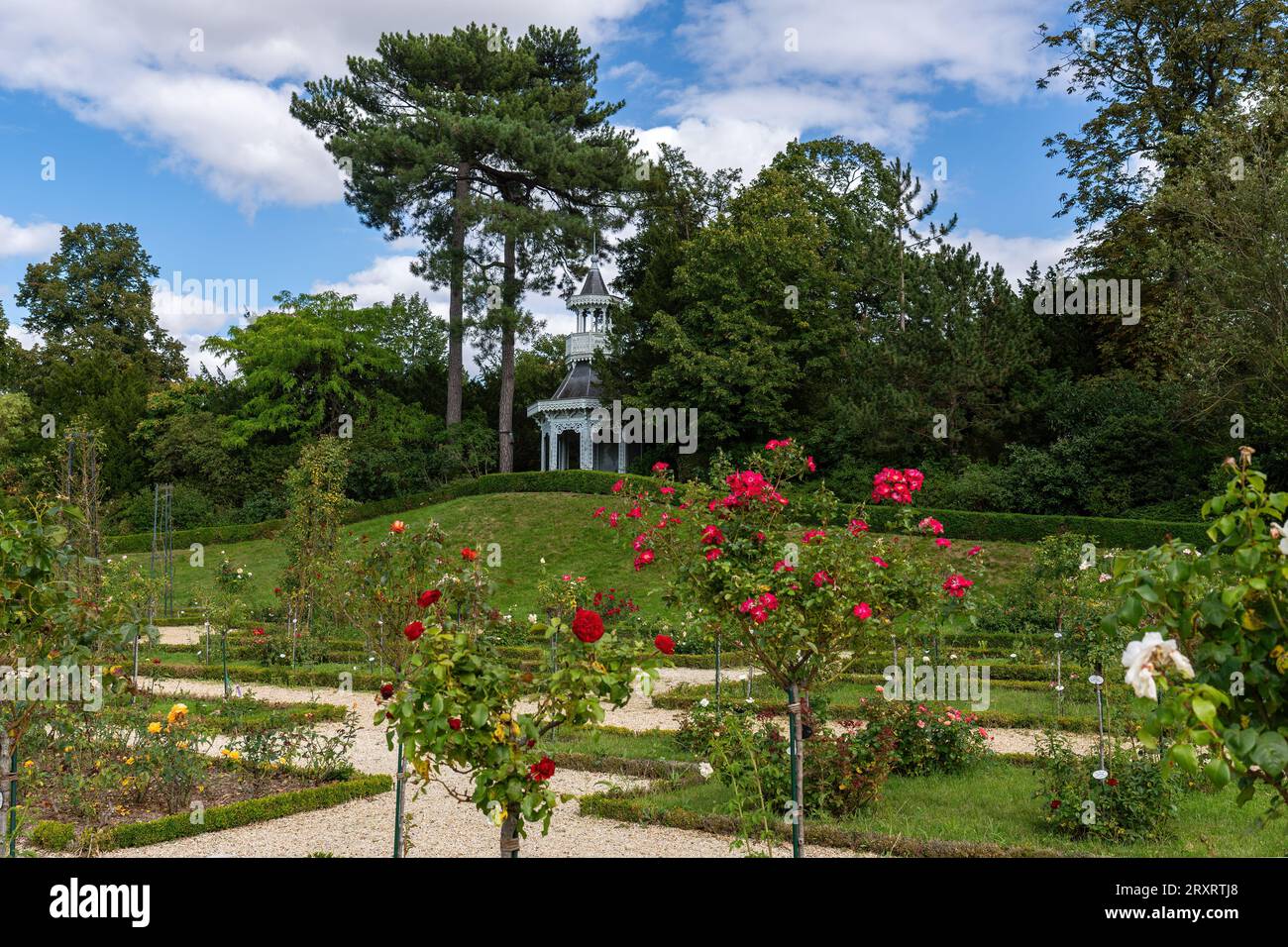 Rosengarten im Bagatelle Park - Paris, Frankreich Stockfoto