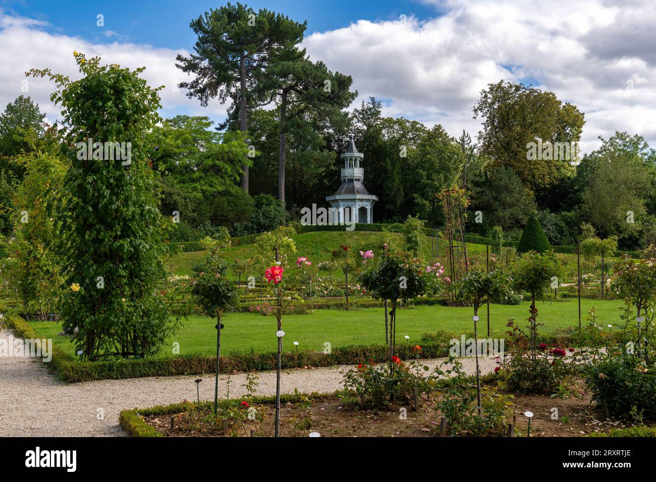 Rosengarten im Bagatelle Park - Paris, Frankreich Stockfoto