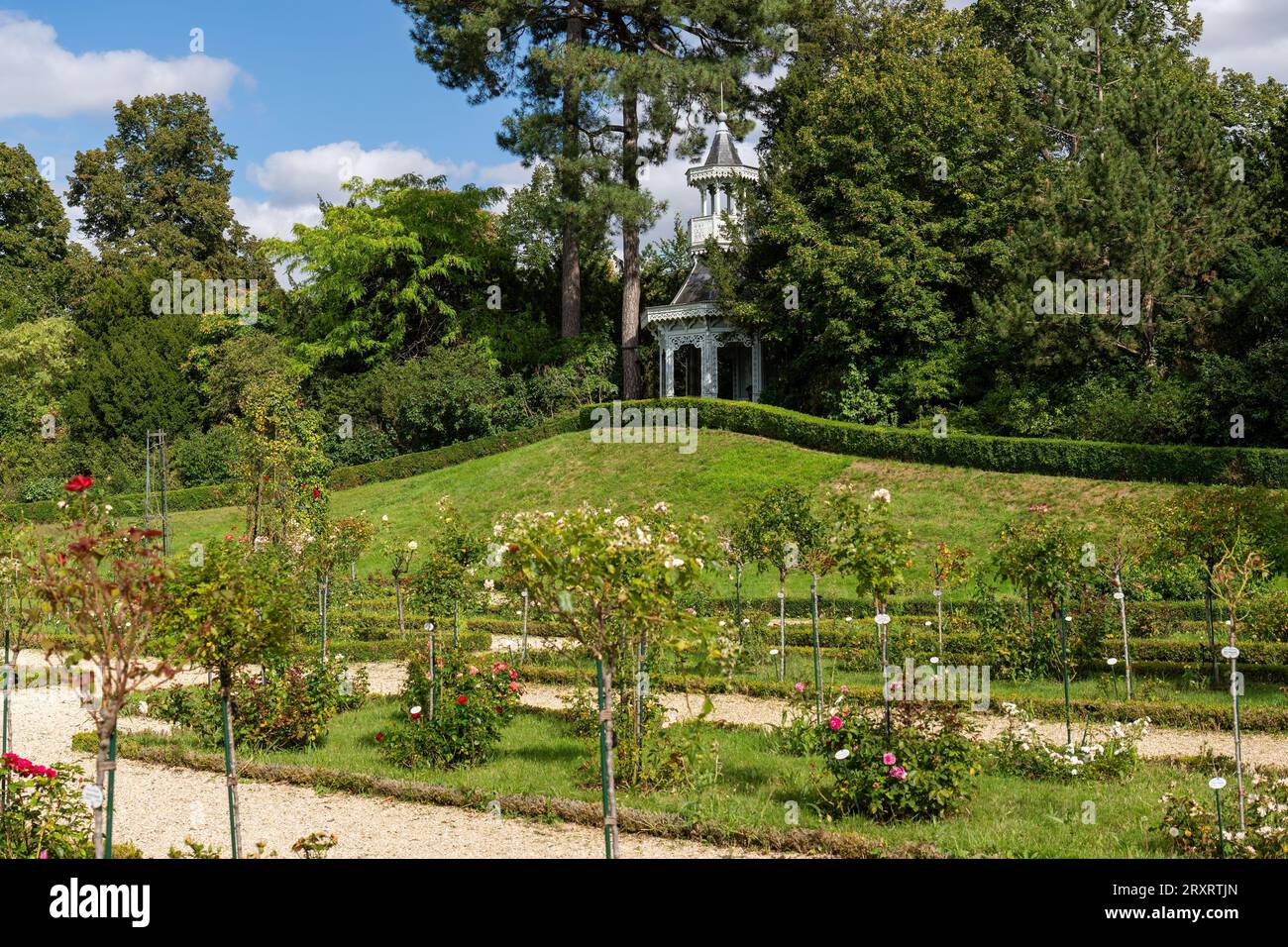 Rosengarten im Bagatelle Park - Paris, Frankreich Stockfoto