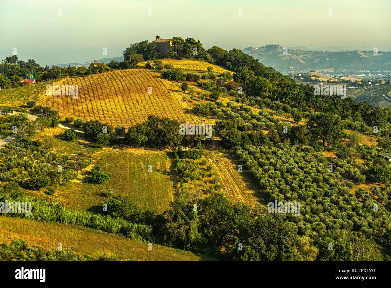 Vom Hügel vor dem mittelalterlichen Dorf dominiert die Kirche San Francesco die Landschaft. Acquaviva Picena, Region Marken, Italien, Europa Stockfoto