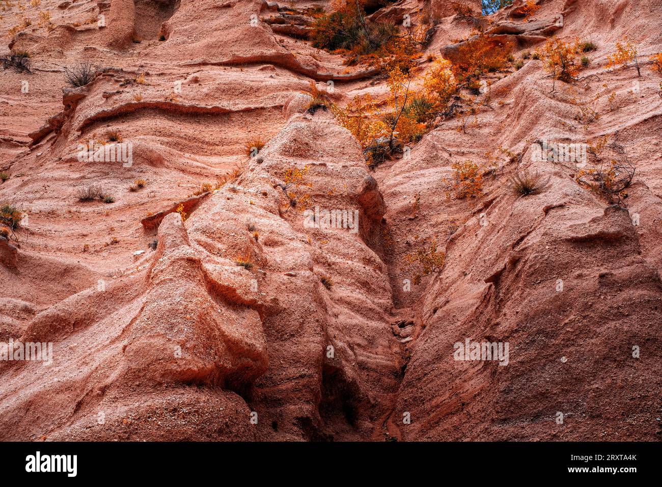 Besondere geologische Formationen im Naturpark Lame Rosse in der Region Marken Stockfoto