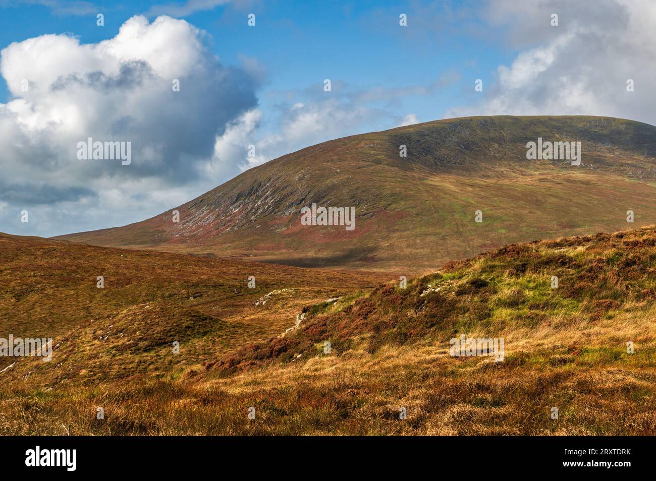 Cairnsmore of Fleet, gesehen von den Clints von Dromore, Dumfries und Galloway, Schottland Stockfoto