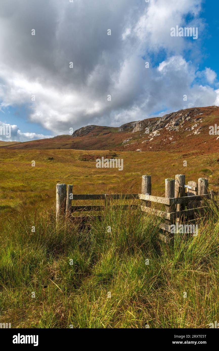 Die Clints of Dromore im Cairnsmore of Fleet National Nature Reserve Galloway, Schottland Stockfoto