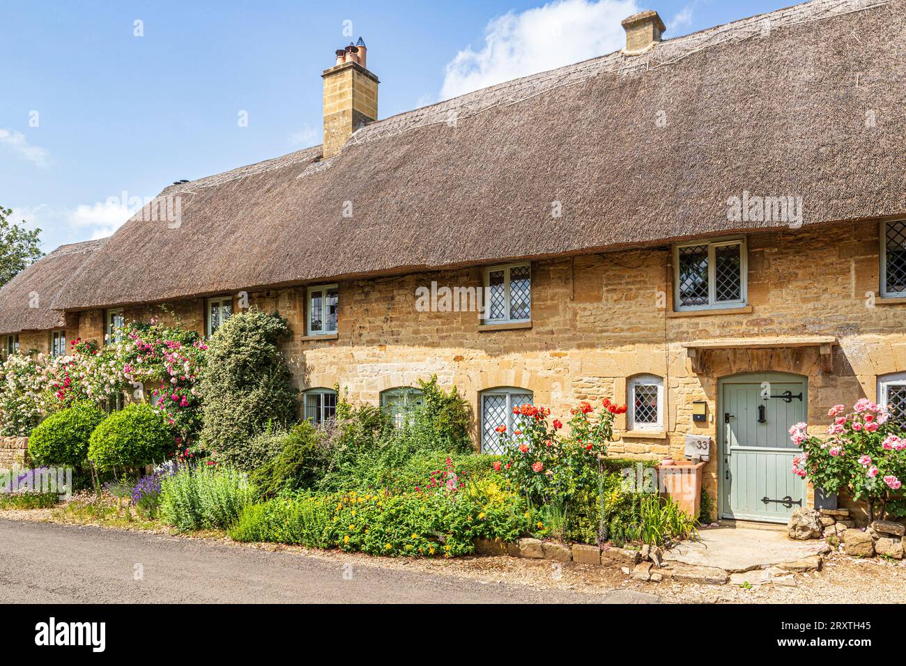 Rosen wachsen im Juni auf einem typischen, traditionellen Reetdachhaus im Cotswold-Dorf Taynton, Oxfordshire, England Stockfoto