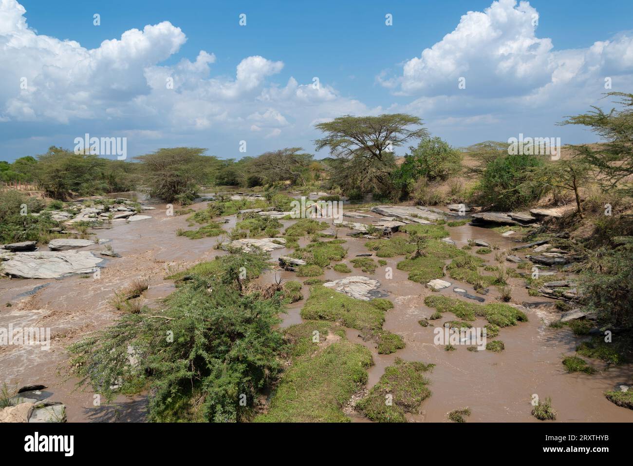 masai Mara Landschaft Stockfoto