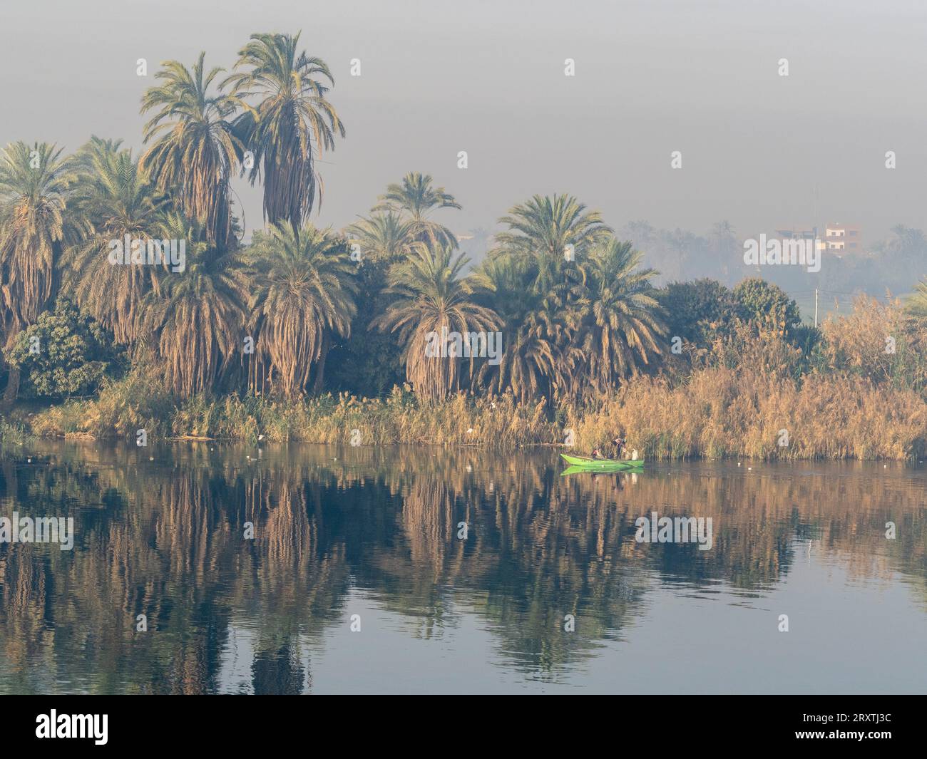 Fischer in einem kleinen Boot auf dem oberen Nil, inmitten einiger der grünsten Länder entlang des Flusses, Ägypten, Nordafrika, Afrika Stockfoto