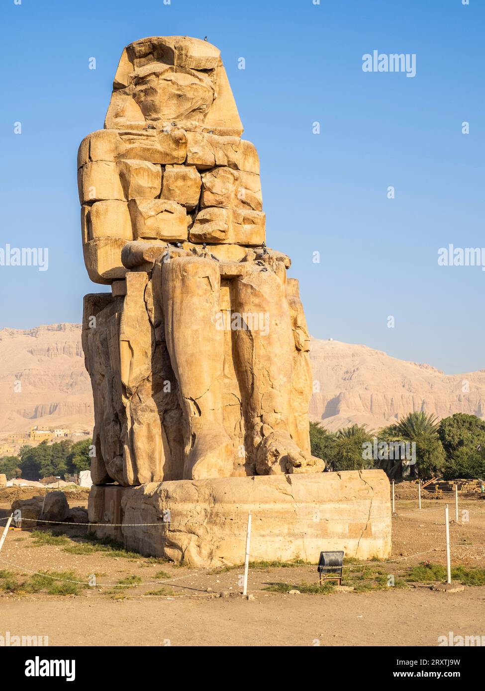 Sitzstatue, einer der Memnonkolosse, in der Nähe des Tals der Könige, wo 500 Jahre lang Felsengräber für Pharaonen ausgegraben wurden Stockfoto