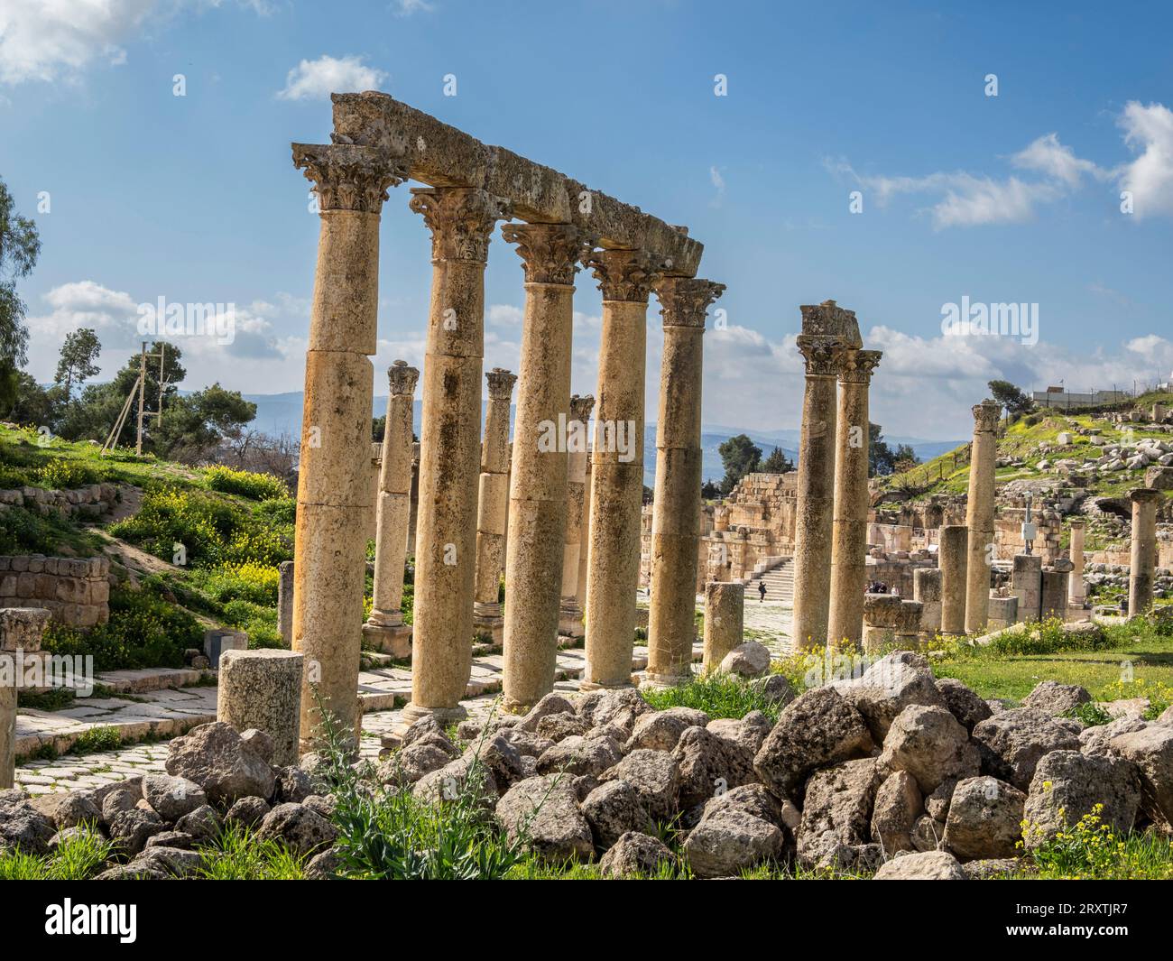 Säulen auf dem Oval Plaza in der antiken Stadt Jerash, die vermutlich 331 v. Chr. von Alexander dem Großen, Jerash, Jordanien, dem Nahen Osten gegründet wurde Stockfoto