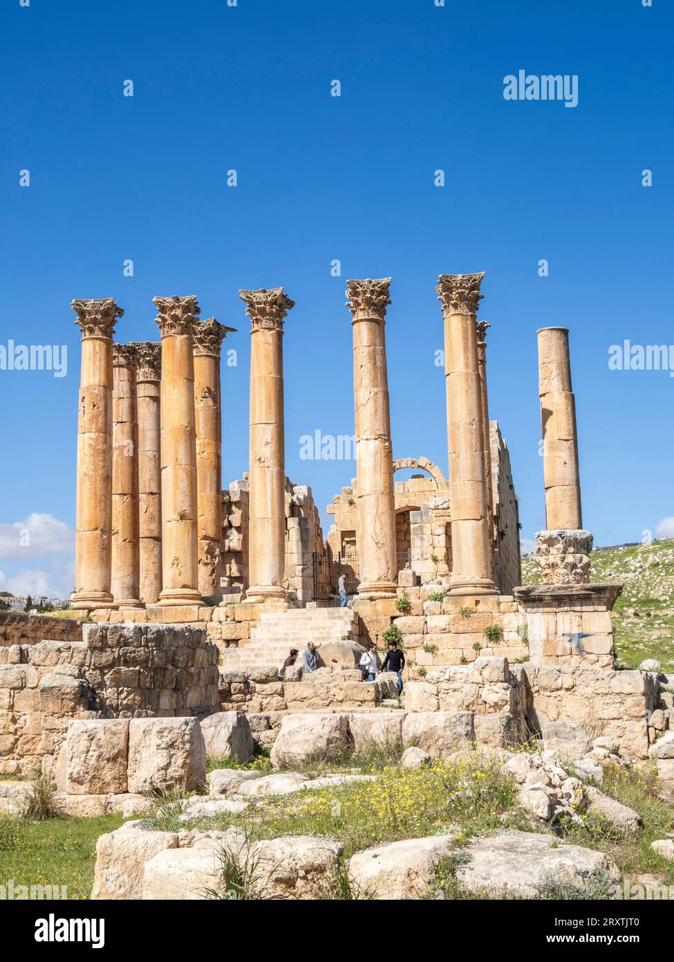 Säulen in der antiken Stadt Jerash, die vermutlich 331 v. Chr. von Alexander dem Großen, Jerash, Jordanien, dem Nahen Osten gegründet wurde Stockfoto