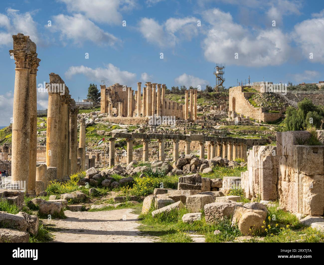 Säulen auf dem Oval Plaza in der antiken Stadt Jerash, die vermutlich 331 v. Chr. von Alexander dem Großen, Jerash, Jordanien, dem Nahen Osten gegründet wurde Stockfoto