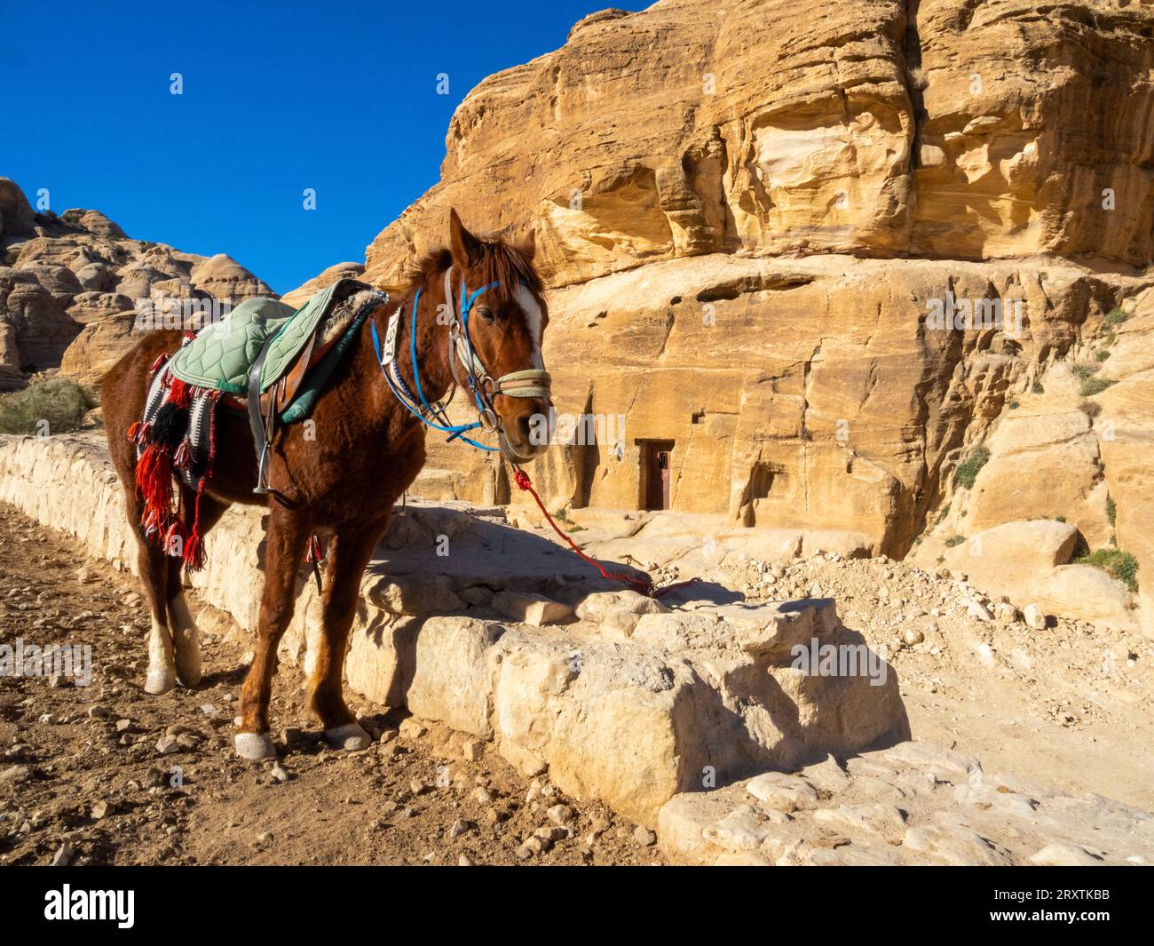Jordanisches Pferd, Petra Archaeological Park, UNESCO-Weltkulturerbe, eines der Neuen Sieben Weltwunder, Petra, Jordanien, Naher Osten Stockfoto