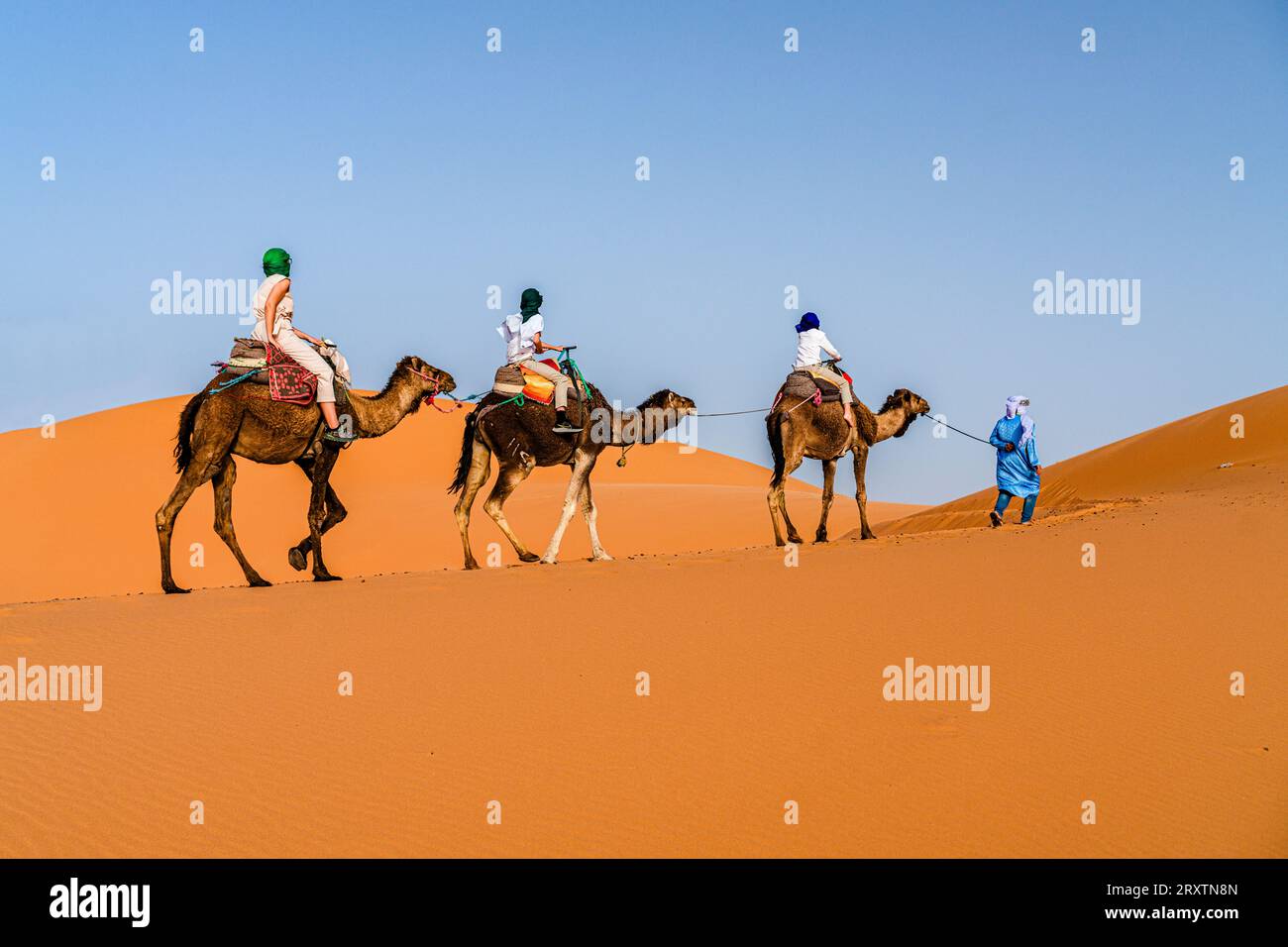 Familie mit einem Kind bei einem Kamelritt in der Wüste, Erg Chebbi, Merzouga, Sahara, Marokko, Nordafrika, Afrika Stockfoto