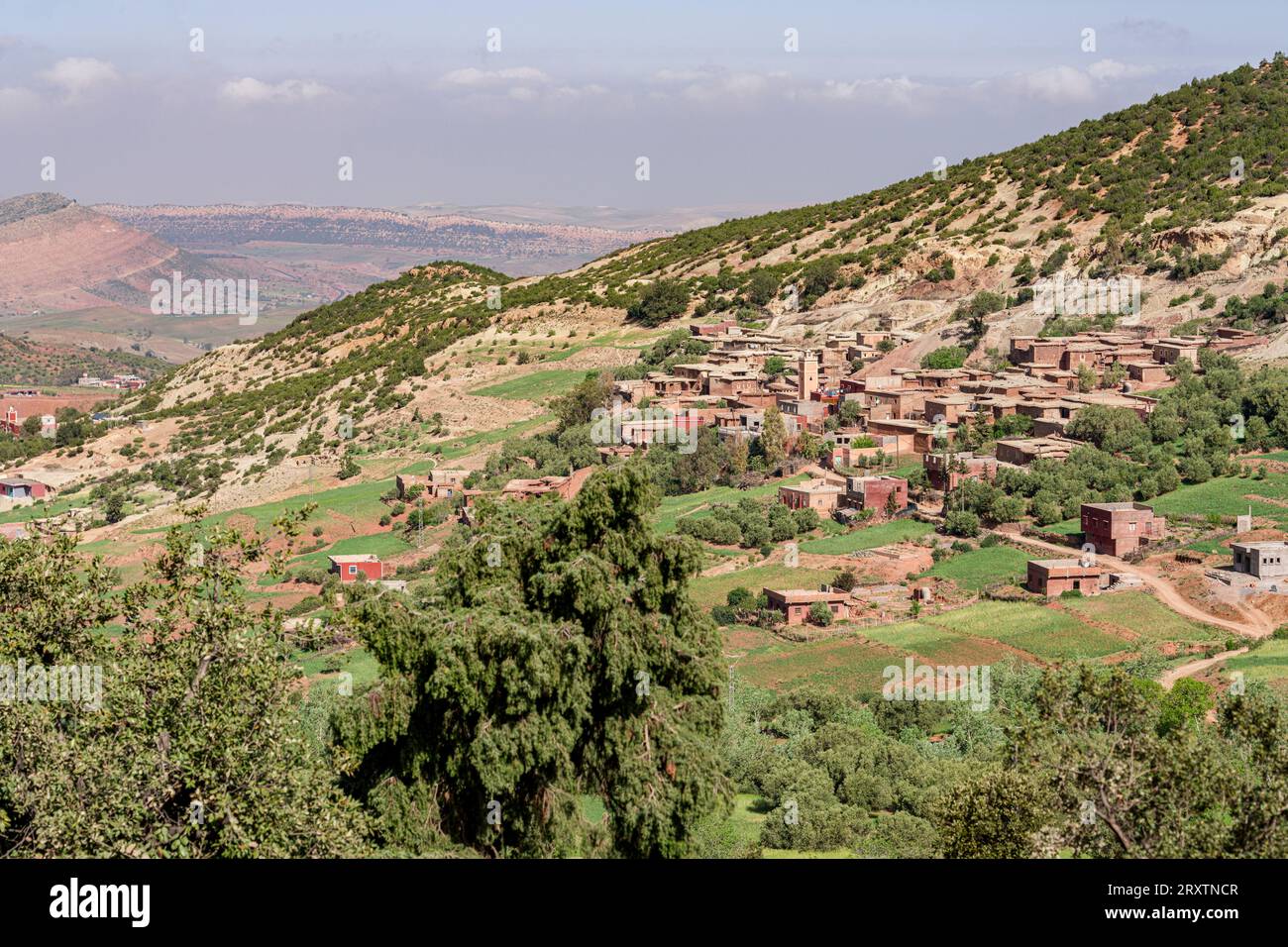Blick auf ein altes Berberdorf auf grünen Hügeln, Hochatlas, Marokko, Nordafrika, Afrika Stockfoto
