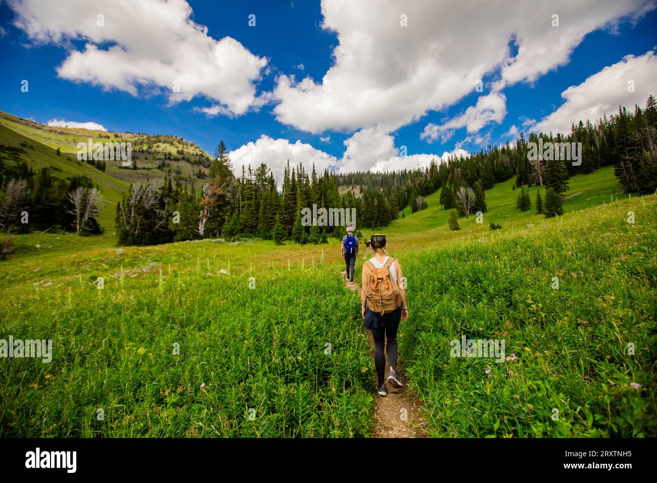 Wanderer auf den Wanderwegen des Grand Teton National Park, Wyoming, Vereinigte Staaten von Amerika, Nordamerika Stockfoto