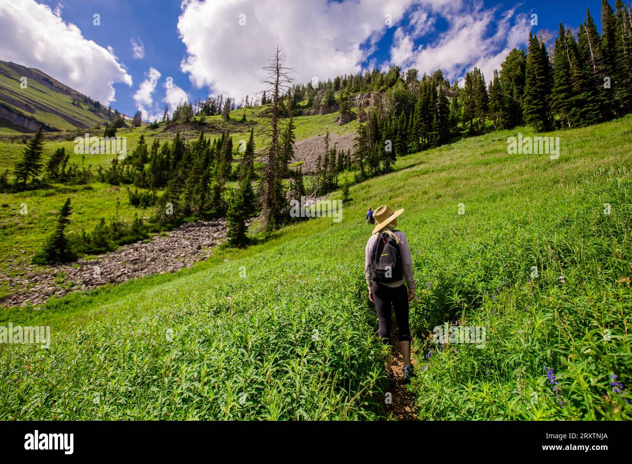 Wanderer auf den Wanderwegen des Grand Teton National Park, Wyoming, Vereinigte Staaten von Amerika, Nordamerika Stockfoto