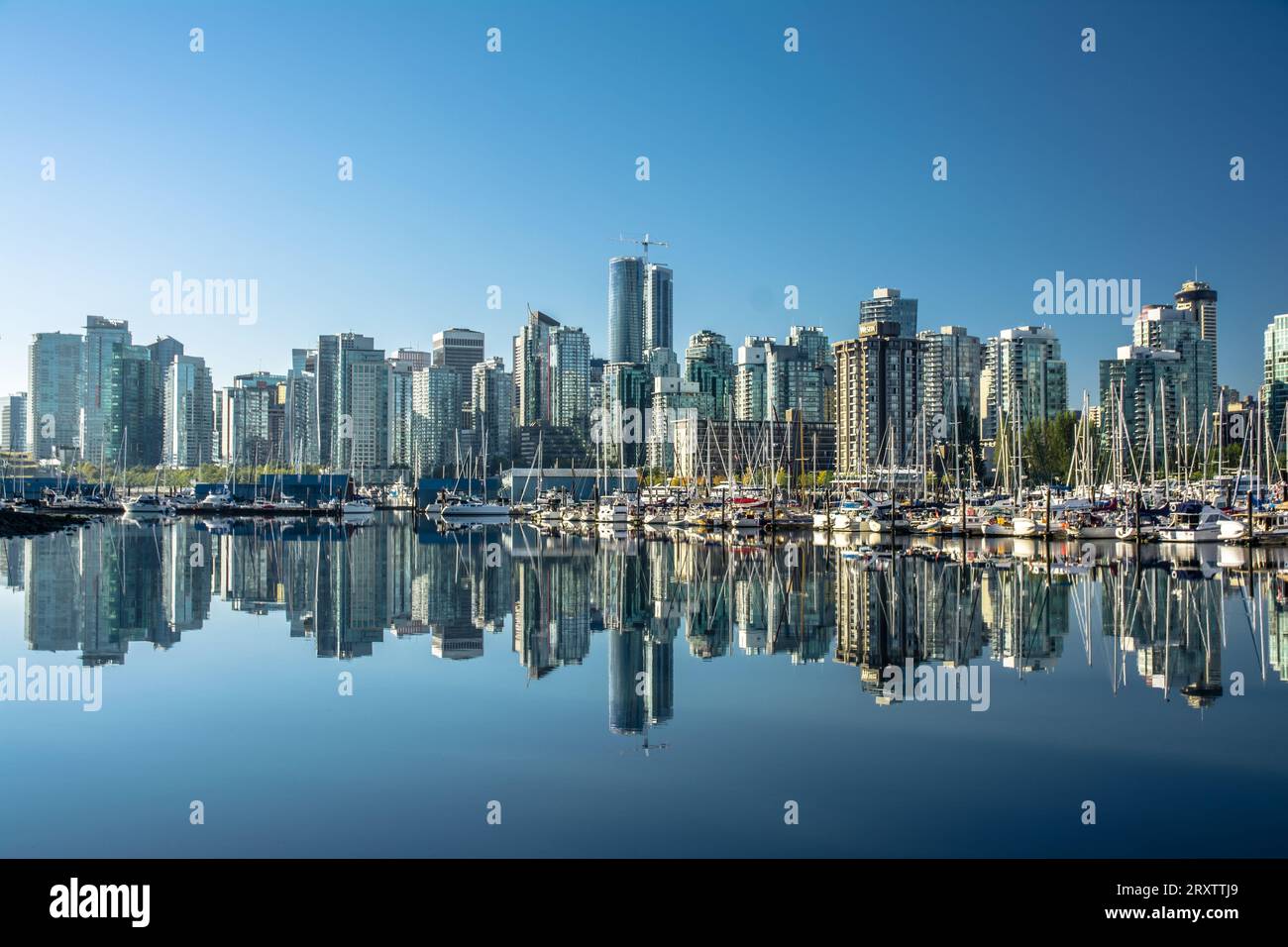 Skyline von Vancouver, mit perfekter Reflexion von Wolkenkratzern im blauen Wasser von Stanley Park, Vancouver, British Columbia, Kanada, Nordamerika Stockfoto
