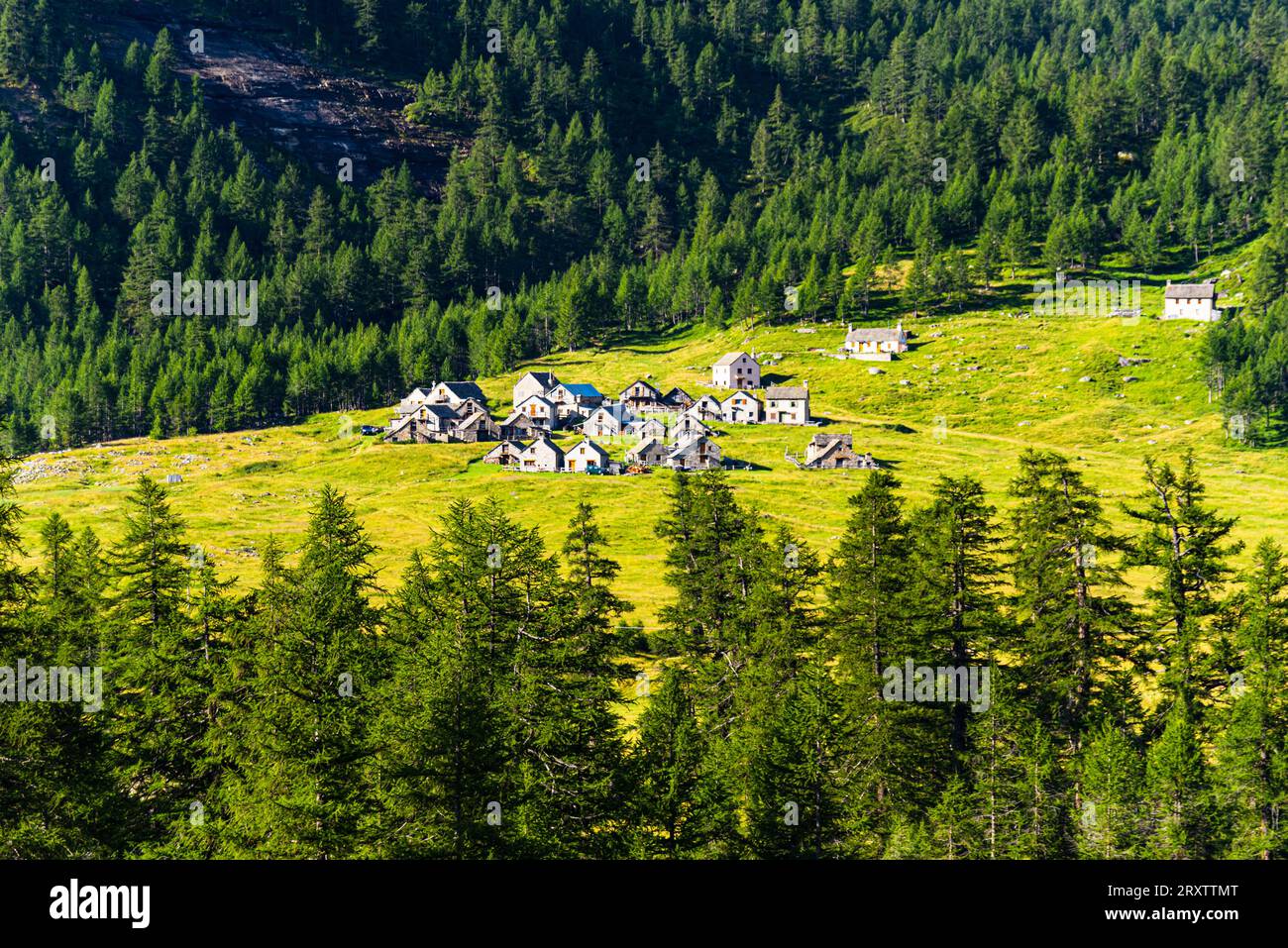 Malerisches Bergdorf aus Felsen, umgeben von grünen Wiesen und Wäldern, Varzo, Alpe Veglia, Verbania, Piemont, Italien, Europa Stockfoto