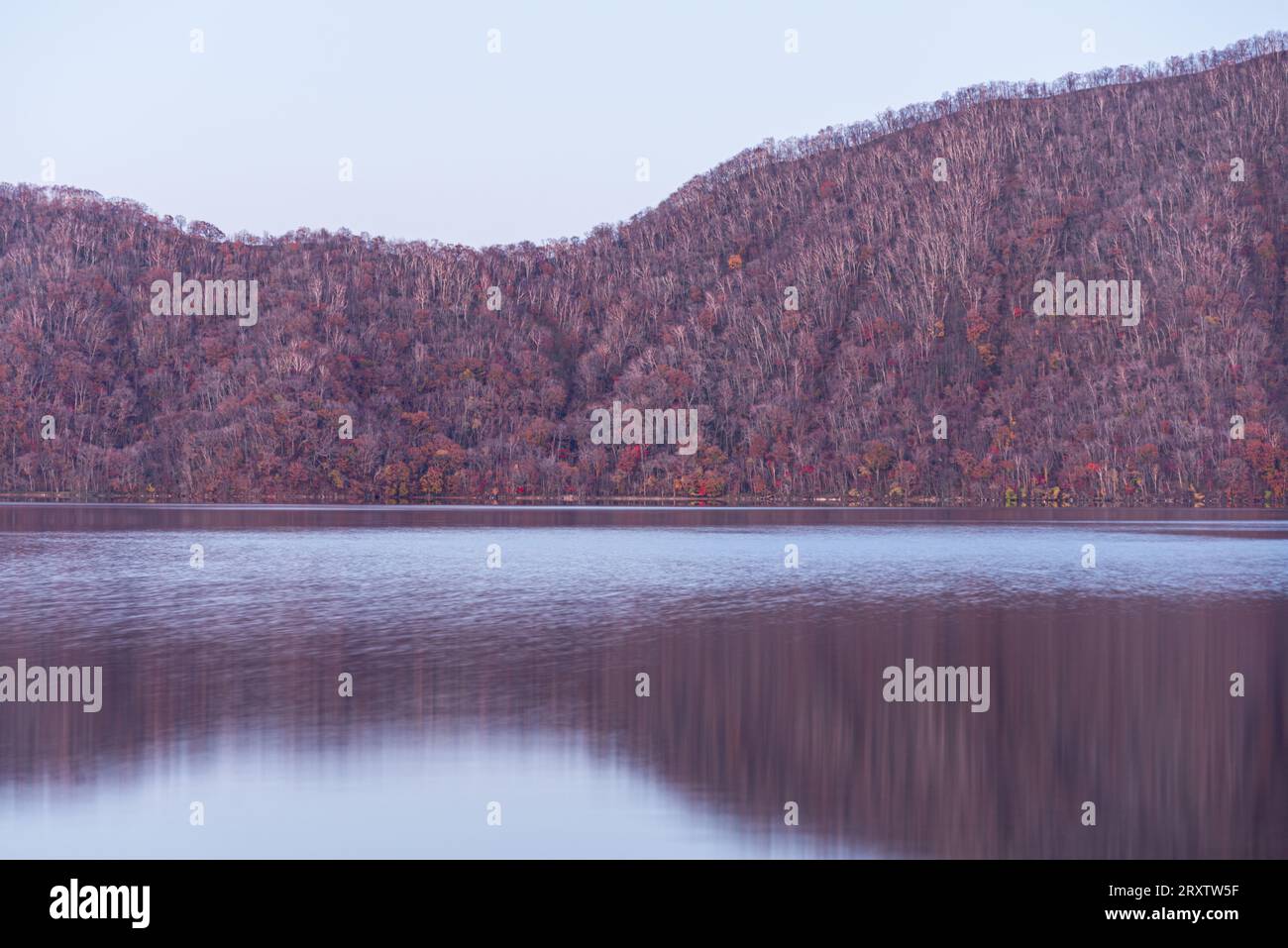 Sanftes violettes Abendlicht an einem See im Spätherbst, das einen Waldhang reflektiert, Lake Toya, Shikotsu-Toya National Park, Abuta, Hokkaido, Japan, Asien Stockfoto