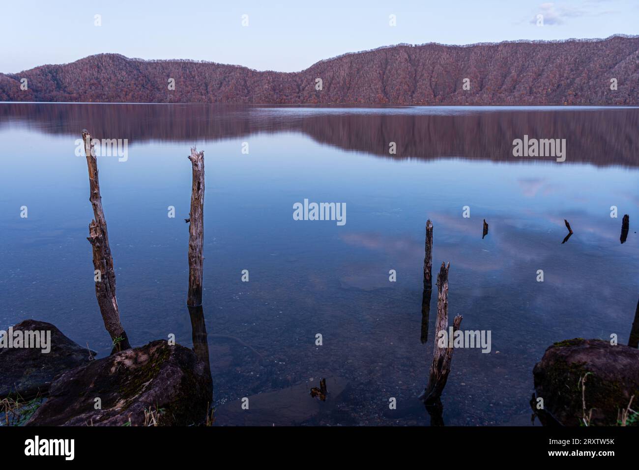 Sanftes violettes Abendlicht an einem See im Spätherbst, das einen Waldhang reflektiert, Lake Toya, Shikotsu-Toya National Park, Abuta, Hokkaido, Japan, Asien Stockfoto