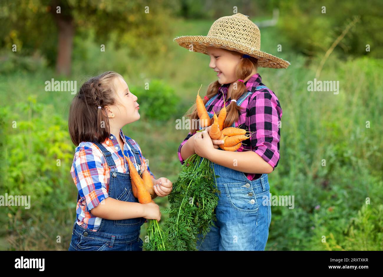 Glückliche Bauernmädchen, die aus ihrem eigenen Garten frische Möhren ernten. Saisonale Herbst- und Sommerarbeiten. Stockfoto