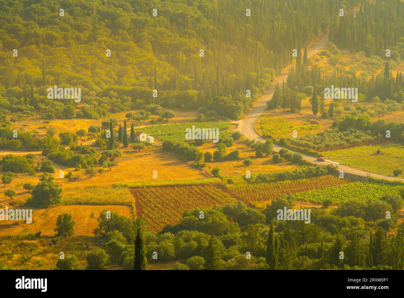 Blick auf die Wälder und Weinberge in der Nähe von Poulata, Kefalonia, Ionischen Inseln, Griechischen Inseln, Griechenland, Europa Stockfoto