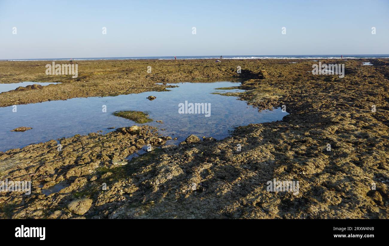 Bali Tempel Stockfoto