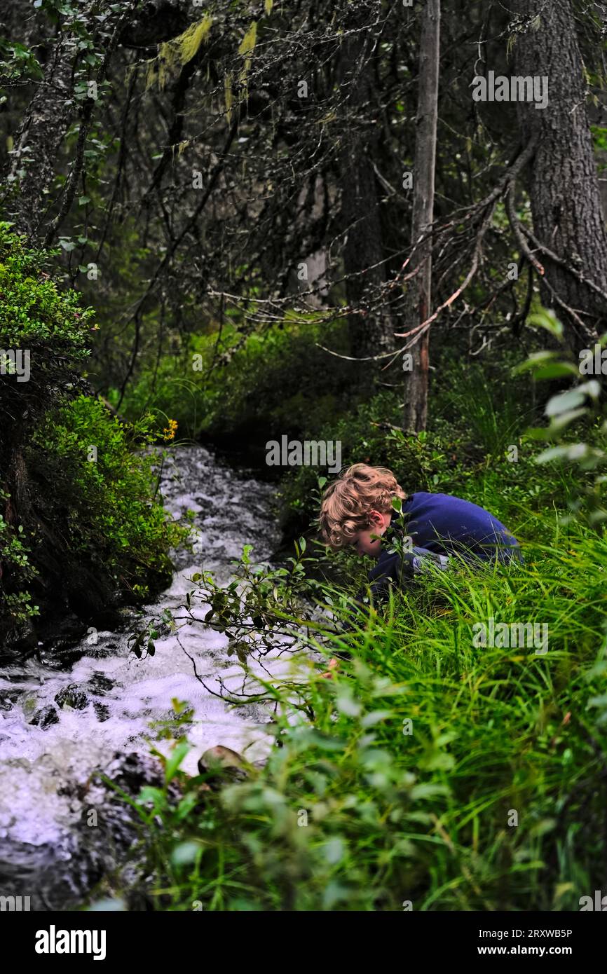 Seitenansicht eines sechs Jahre alten Jungen mit blondem lockigem Haar sitzt kniend und berührt mit der Hand den Wildwasserbach im dichten Wald Stockfoto