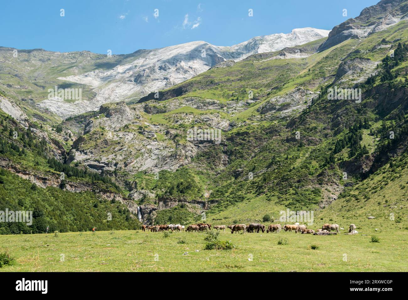 Llanos de La Larri, Bielsa, Huesca, Spanien Stockfoto