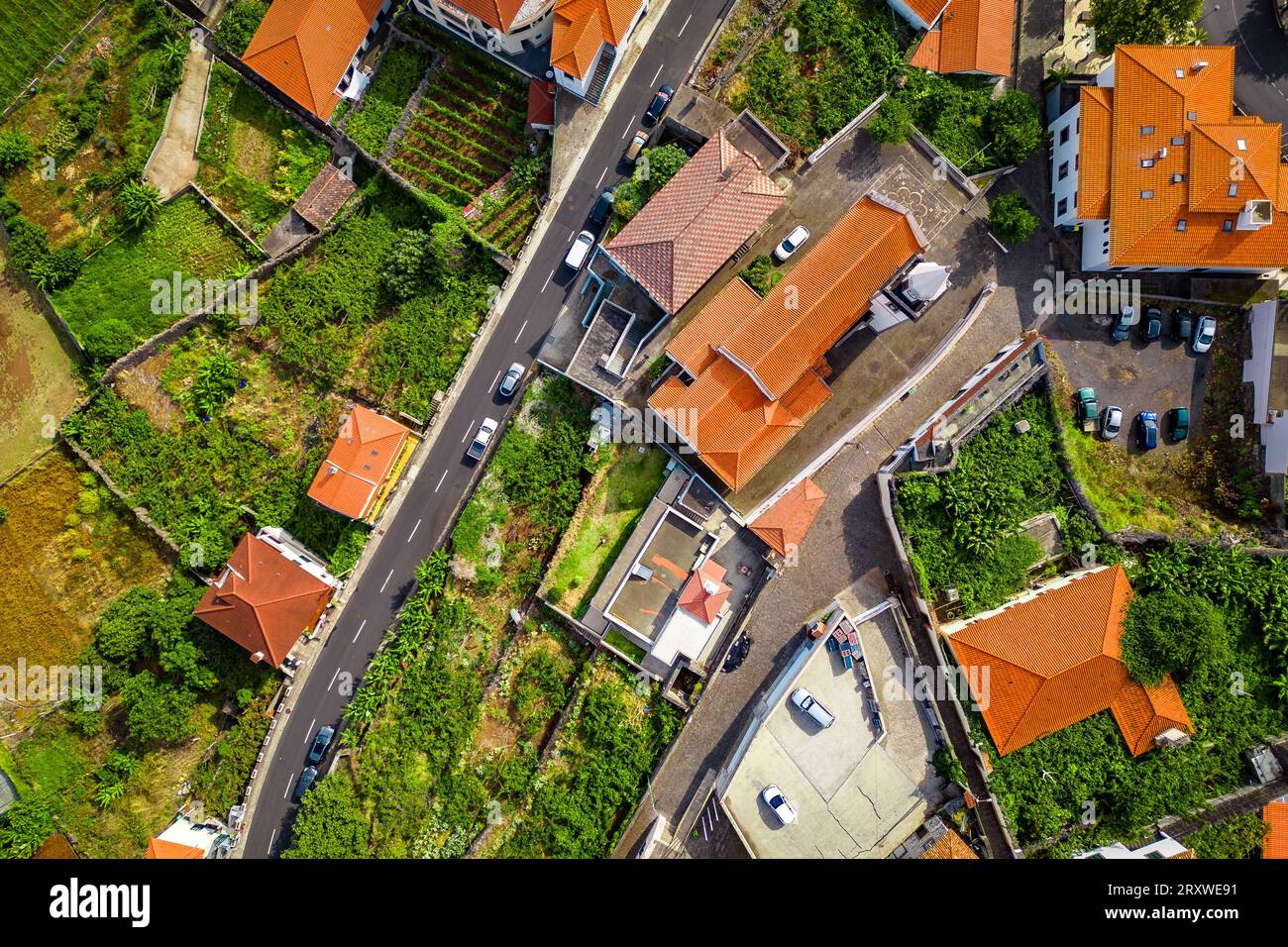 Malerischer Blick aus der Vogelperspektive auf das historische Zentrum der kleinen Stadt Porto Moniz mit seiner Kirche, typisch portugiesischen Häusern und umliegenden üppigen Gärten Stockfoto