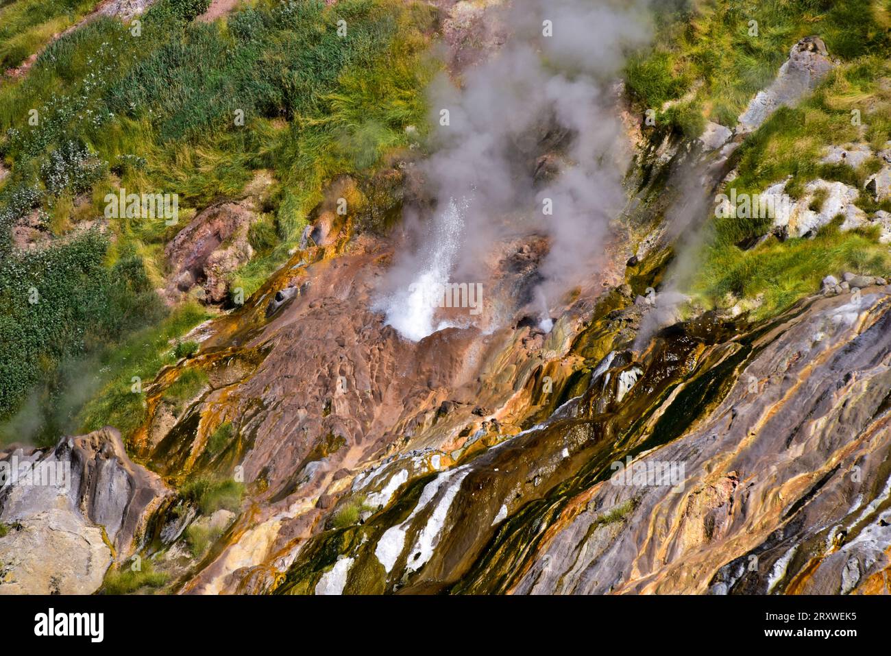 Heißes Wasser aus einem Geysir im Tal der Geysire im Kronotsky Nature Reserve, einem UNESCO-Welterbe in Kamtschatka, russischer Fernost Stockfoto