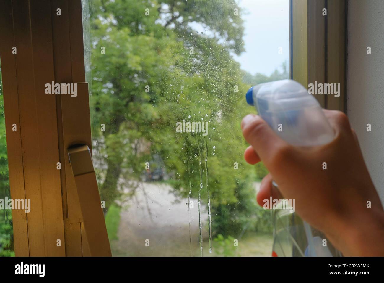 Reinigung des Fensters mit einem Scheibenreinigungsspray. Hand hält einen Sprühnebel über das Fenster. Reinigungsservice Stockfoto