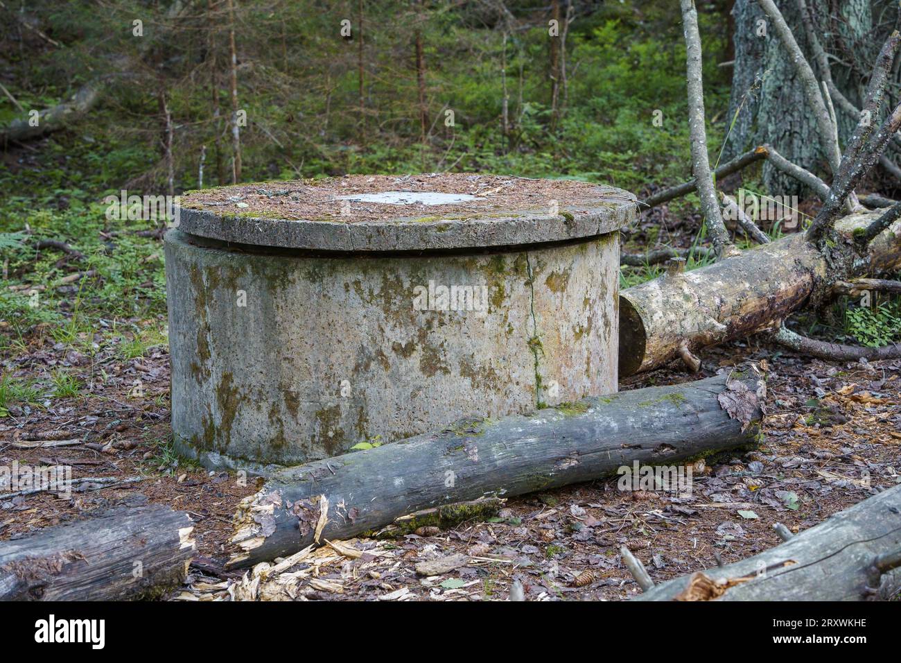 Altes Betonbrunnen im Wald Stockfoto