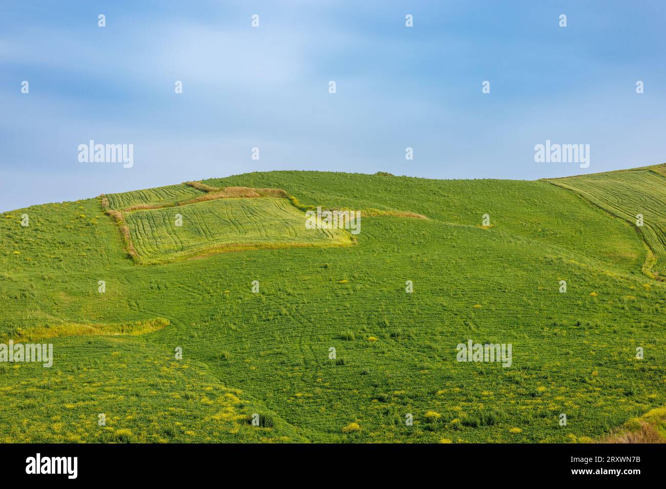 Landschaft mit Weiden in den Bergen im Westen der Insel Sizilien, Italien Stockfoto
