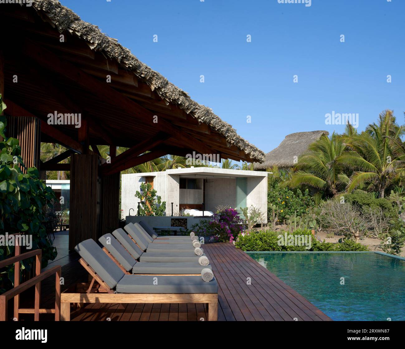 Sonnendeck mit Pool und Liegestühlen. Casa Leria, Puerto Escindido, Mexiko. Architekt: TAC Taller Alberto Calleja, 2023. Stockfoto