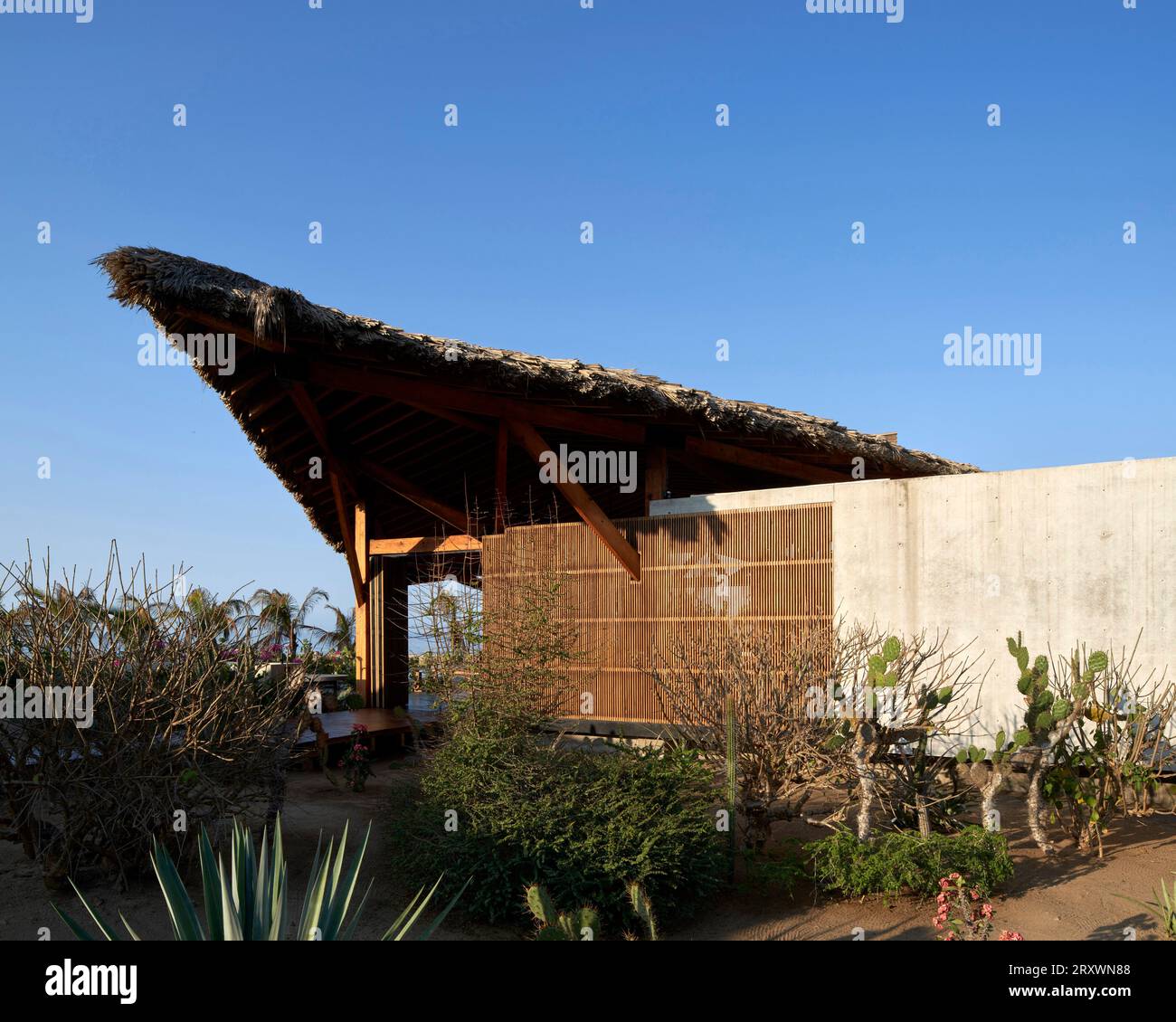 Haupthaus mit Strohdach. Casa Leria, Puerto Escindido, Mexiko. Architekt: TAC Taller Alberto Calleja, 2023. Stockfoto