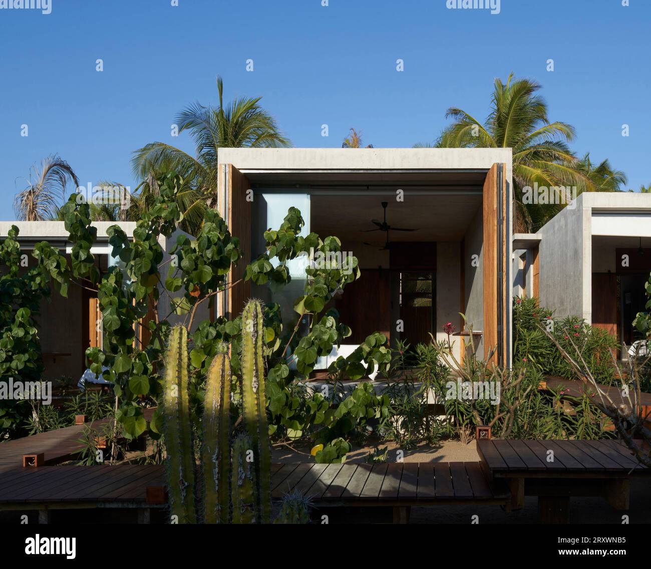 Schlafzimmermodule eingebettet in Vegetation. Casa Leria, Puerto Escindido, Mexiko. Architekt: TAC Taller Alberto Calleja, 2023. Stockfoto