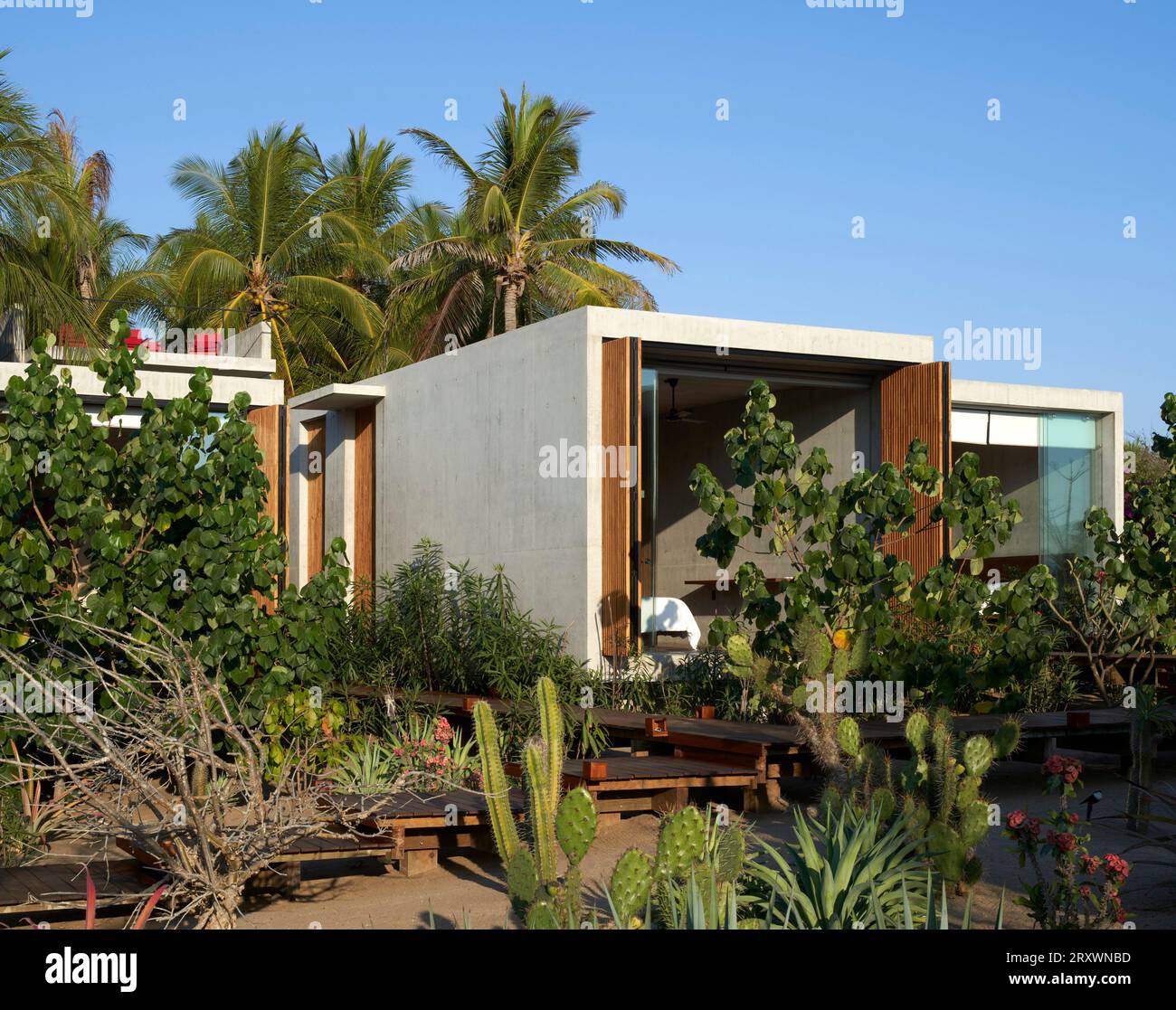 Schlafzimmermodule eingebettet in Vegetation. Casa Leria, Puerto Escindido, Mexiko. Architekt: TAC Taller Alberto Calleja, 2023. Stockfoto