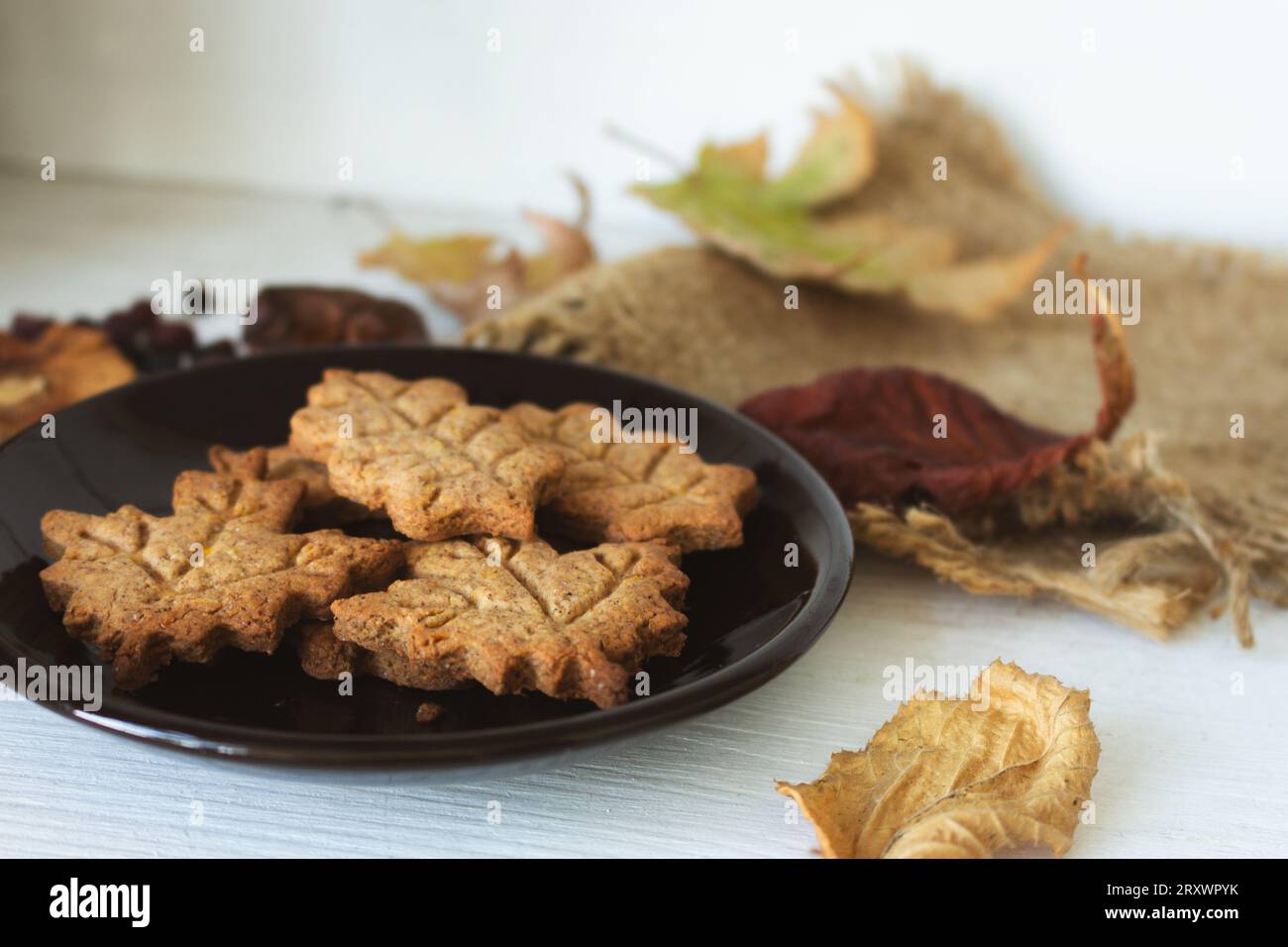 Zimtkekse und Herbstblätter auf Holzregal. Lebkuchen-Kekse in Blattform. Festliche Herbstkekse. Handgemachte Bäckerei. Stockfoto