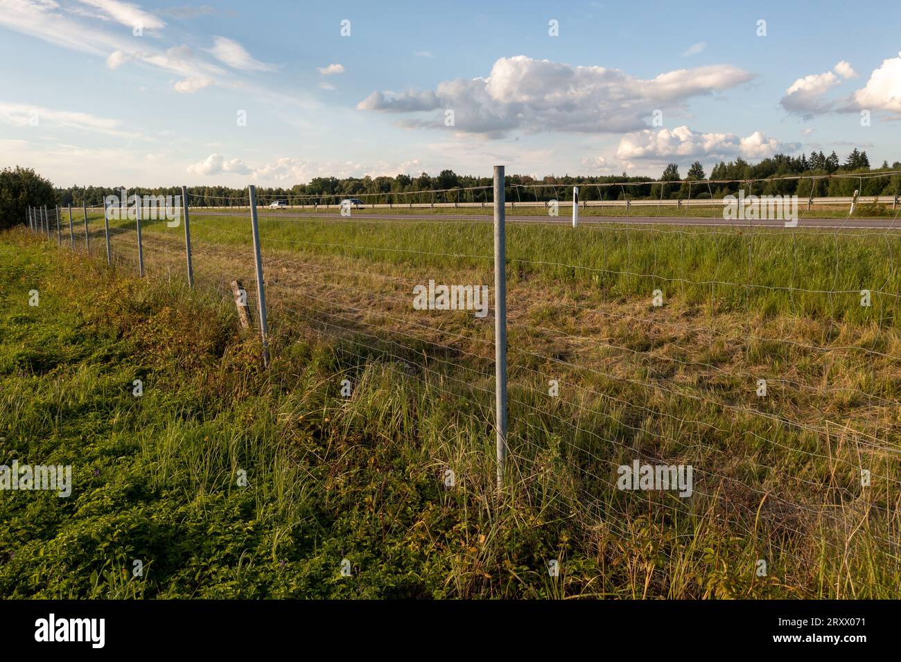 Drohnengesichtspunkt der Trennung zwischen Autobahn und Landwirtschaftsfeld am Sommertag Stockfoto