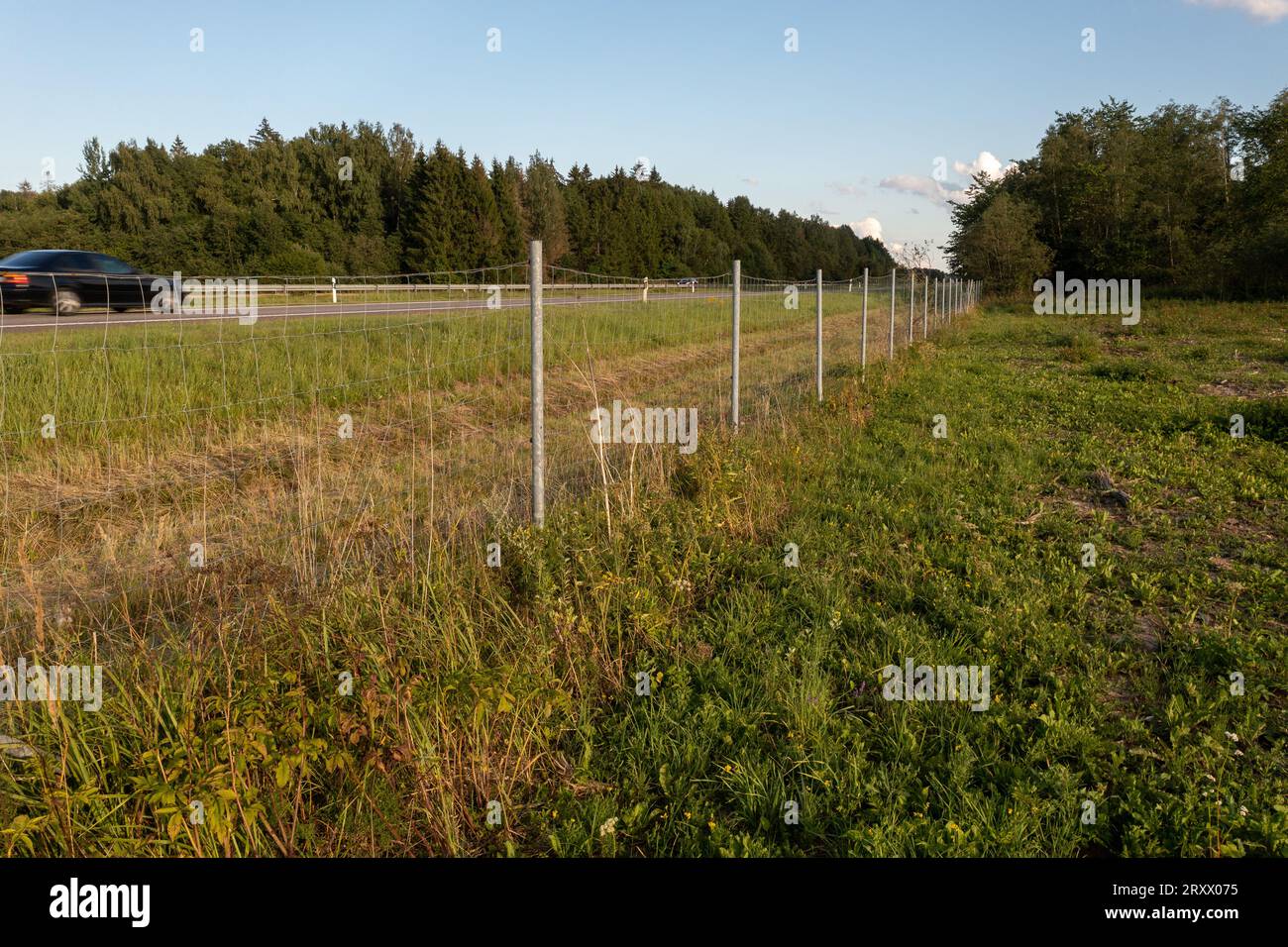 Drohnengesichtspunkt der Trennung zwischen Autobahn und Landwirtschaftsfeld am Sommertag Stockfoto