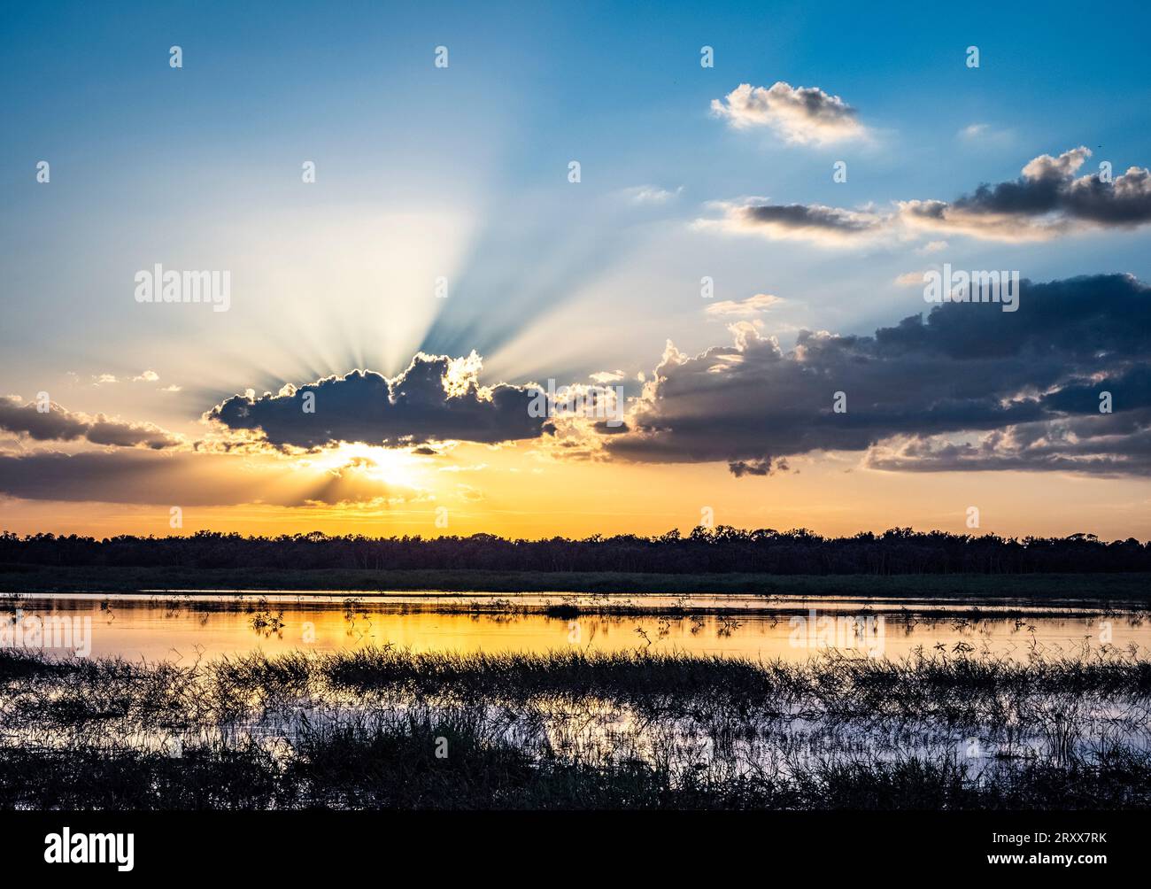 Sonne mit Sonnenstrahlen am blauen Himmel und Wolken am ununtergehenden Myakka River State Park in Sarasota, Florida, USA Stockfoto